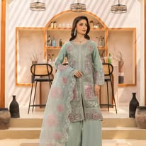 Pakistani Original Husnara Luxury Organza Stitched 3 Pcs_ Mint