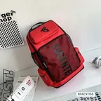 NEXUS SILVER BACKPACK