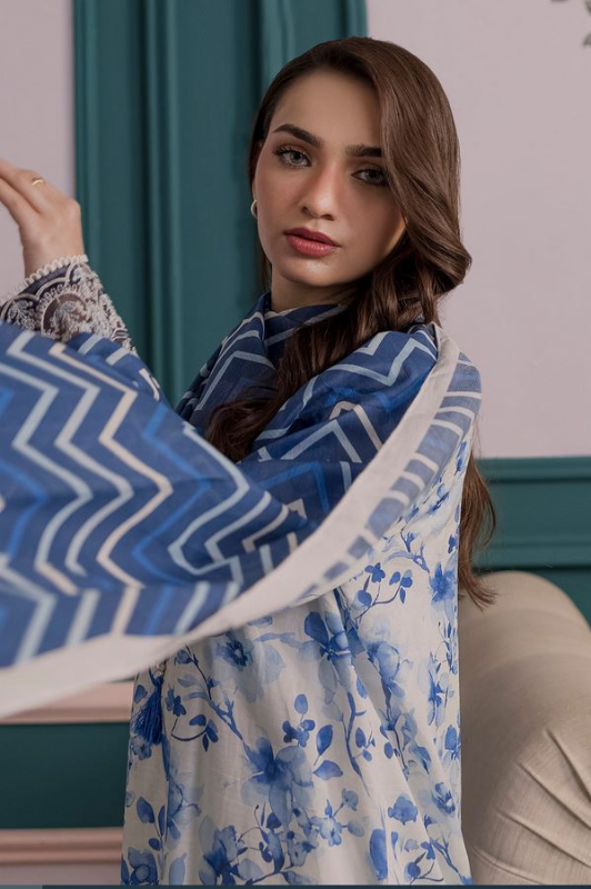 Zelburry- 2 Piece, Embroidered Kurta Dupatta - 2233