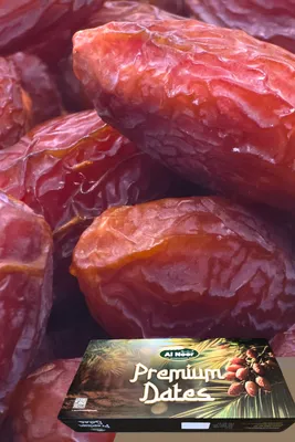 Egyptian Medjool (بريميوم — Premium)
