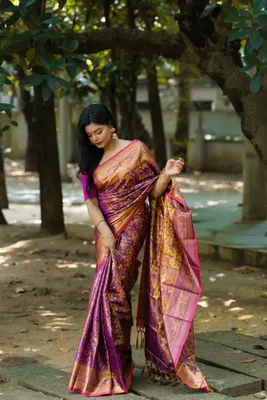 জরি কাতান শাড়ি ব্লাউস পিস সহ