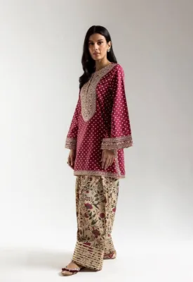 ETHNC EMBROIDRED 2 PIECE 4