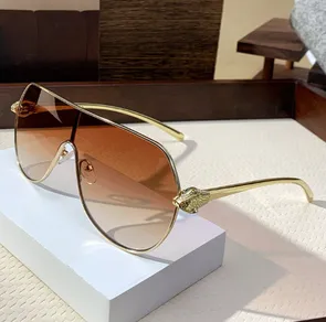 TwinFrame Sunglass