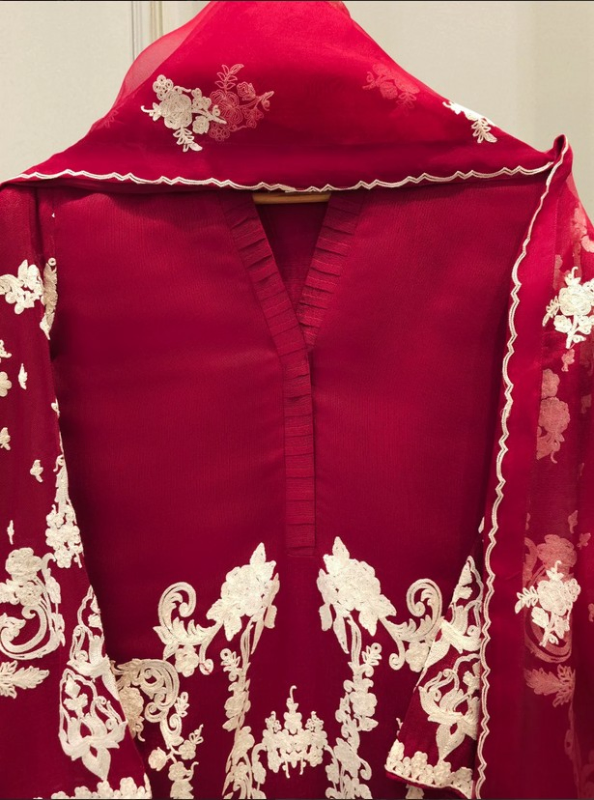 AGHANOOR - 3 Piece - Pure Embroidered Cotton Net 