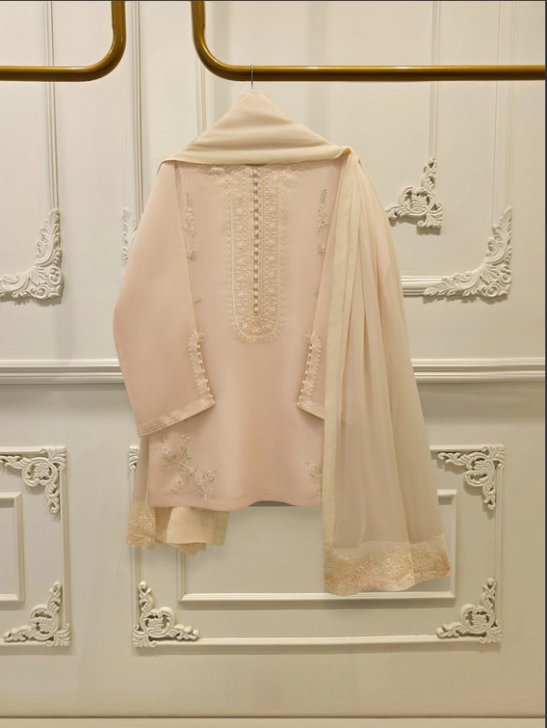 AGHANOOR -  3 Piece - Pure Embroidered Cotton Net