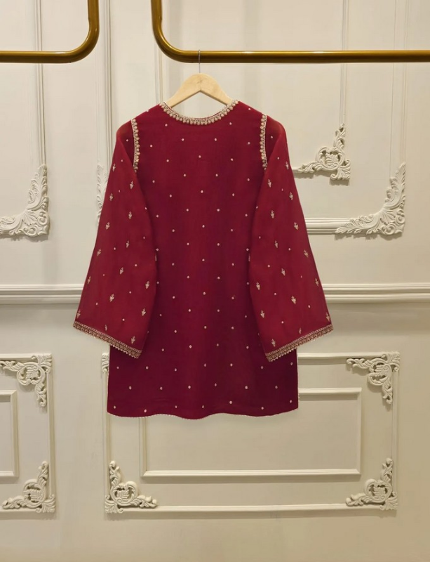 AGHANOOR - 3 Piece - Pure Embroidered Cotton Net