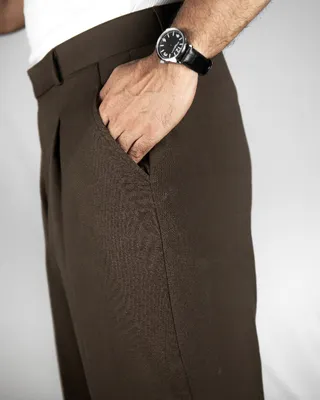 Basics Highwaisted Pleated Pants In Classic Brown