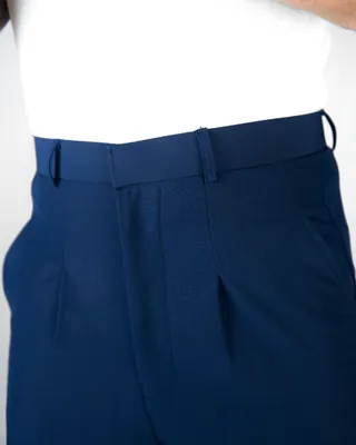 Basics Highwaisted Pleated Pants In Classic Navy
