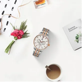 REBEL QUARTZ WATCH PO-HLY0447GSGW