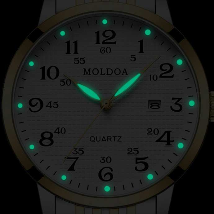 MOLDOA QUARTZ WATCH GB-A54BrW