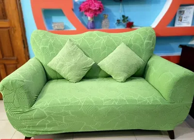Modern Velvet Luxury Sofa Protector