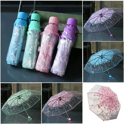 Three Fold Transparent Umbrella Cherry Blossom Designed