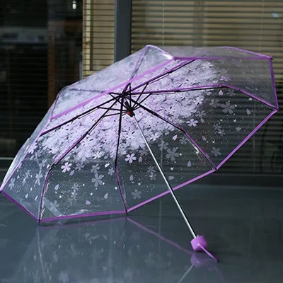 Three Fold Transparent Umbrella Cherry Blossom Designed