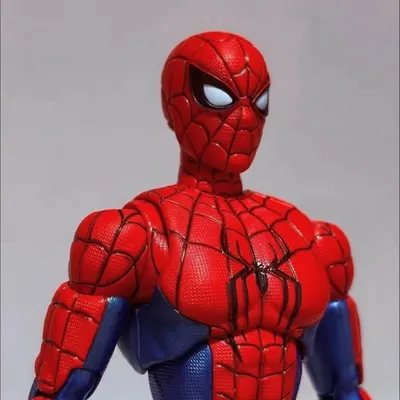 blokees champion class : spider-man brand new day