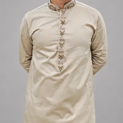 Premium Khaki Zardozi Panjabi