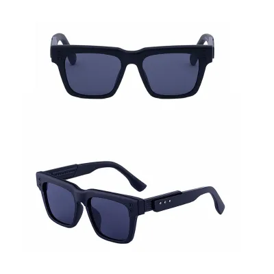 HIGH-END FASHION RETRO SQUARE CROSS-BORDER SUNGLASS GB-8312BC2