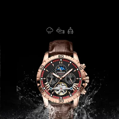 Swiss Luxury Mechanical Watch