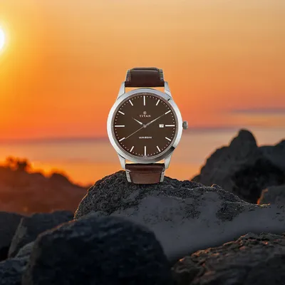 Titan Brown Neo Brown Dial Analog Watch For Men