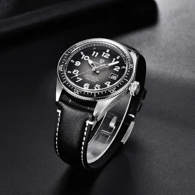 PAGANI DESIGN Men's Automatic Watches for Men