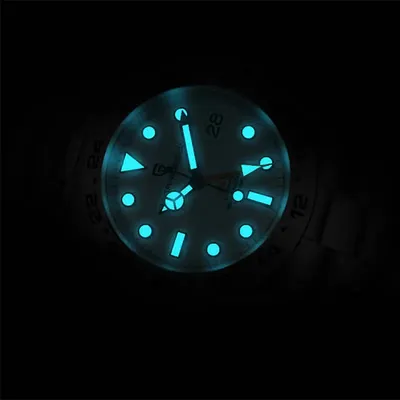 Pagani Design Stainless Steel Men's Watch