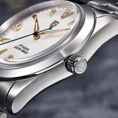 Pagani Design Automatic Mechanical Watch AR Sapphire crystal Luminous Stainless steel Business Watch