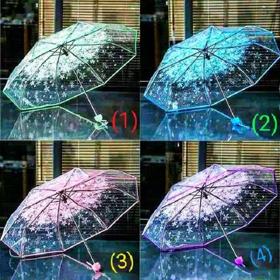 Cherry Blossom Transparent Umbrella