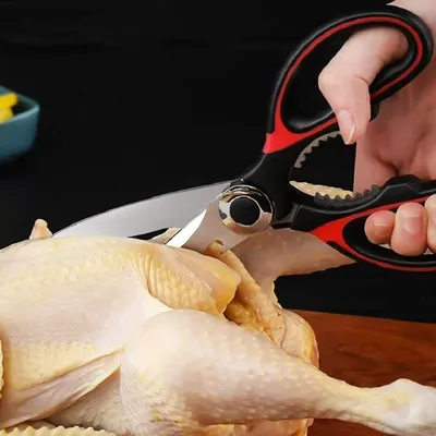 Fish & Meat cutting Scissors for Kitchen (1 Pc)