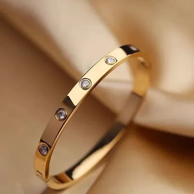  Stainless Steel Titanium Cubic Zirconia Bangle Bracelet