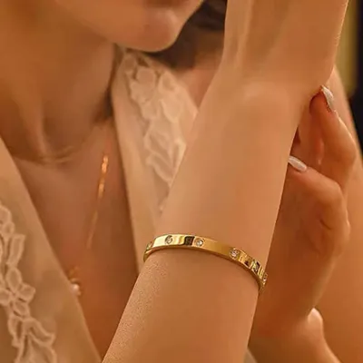  Stainless Steel Titanium Cubic Zirconia Bangle Bracelet