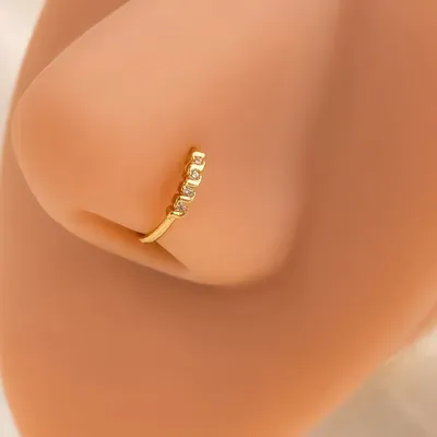 Non-Pierced Stainless Steel Clip Nose