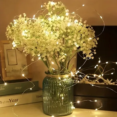Mini LED String Fairy Lights (2pc)