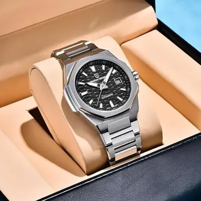 Pagani Design Watches for Men Automatic Watch 
