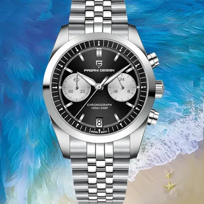 Pagani Design Fashion Trend Mechanical Chronograph Watch With Black Dial