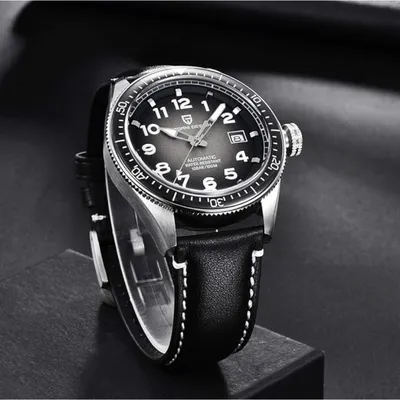 PAGANI DESIGN Men's Automatic Watches for Men's
