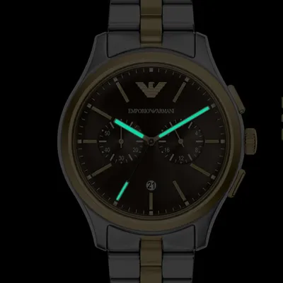 Emporio Armani AR80084 Watch