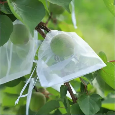 REUSABLE FRUIT PROTECTION NET BAG