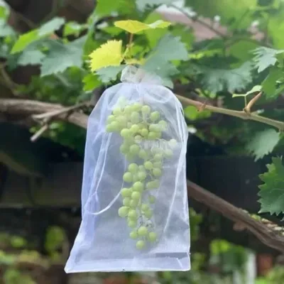 REUSABLE FRUIT PROTECTION NET BAG