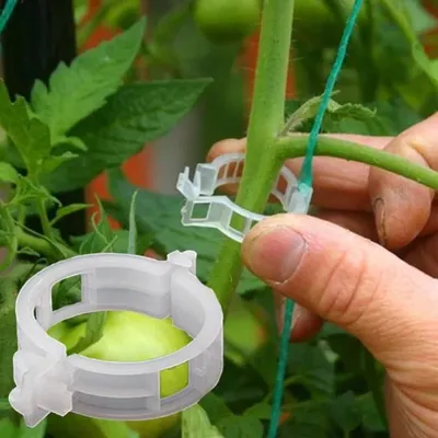 PLANT SUPPORT GARDEN VINE CLIPS