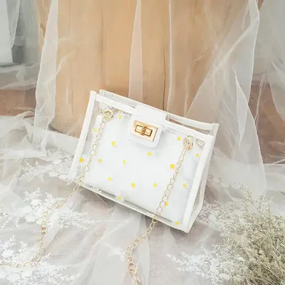Little Transparent Clear Purses Lady Beach Bag