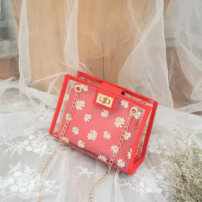 Little Transparent Clear Purses Lady Beach Bag
