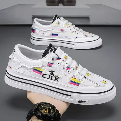 Canvas men's shoes 