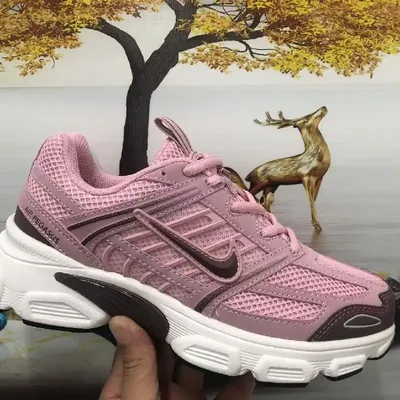 NIKE AIR PEGASUS SHOES 1:1 