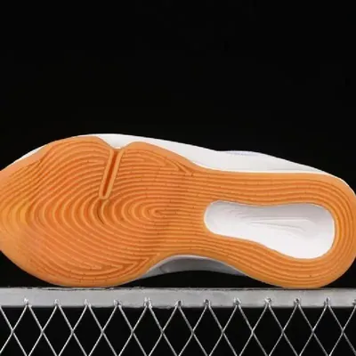 NIKE AIR ZOOM BASKETBALL SHOES WHITE-BLUE 1:1