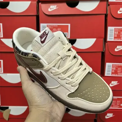 NIKE DUNK APEXCOURT SHOES 1:1