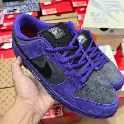 NIKE DUNK SB CORERAMP SHOES 1:1