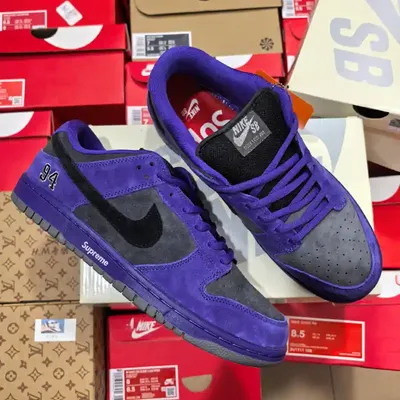 NIKE DUNK SB CORERAMP SHOES 1:1