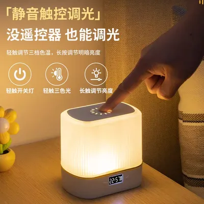 Rechargeable Touch Bedside Lamp with Remote Control