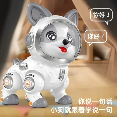 Smart Robot Dog Toy for Kids (OT)