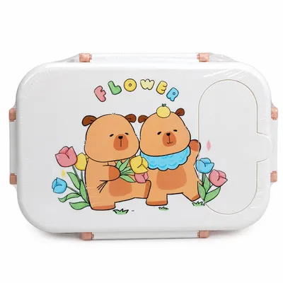 Stainless Steel Double Compartment Lunch/Tiffin  Box