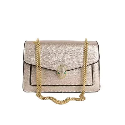 Multi Layered Chain Lady Crossbody Bag